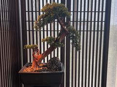 -晓长安·新陕菜(曲江店)