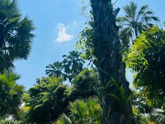 -中国科学院西双版纳热带植物园