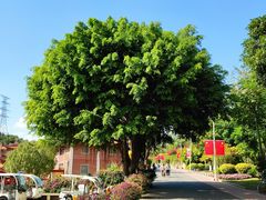 -仙岳公园