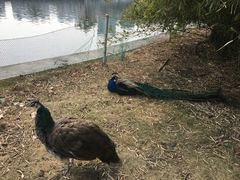 -同济大学(嘉定校区)