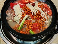 -九寨特色牦牛肉汤锅 羊肉汤锅