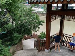 -成都市活水公园