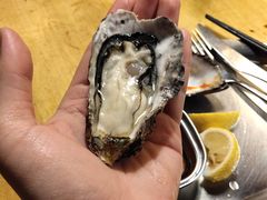 -囧吉香生蚝牛排馆(湖北路店)