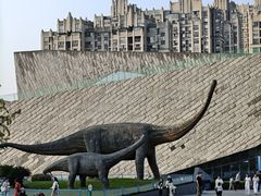 -安徽省地质博物馆