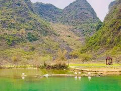 -靖西鹅泉风景区