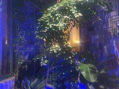 -慢丽江·云南野生菌土鸡锅(付家庄店)