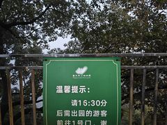 -大金鹰园
