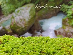 -西岭雪山大飞水景区