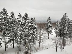 -二世古滑雪场