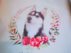 -Husky Go! 哈士奇体验馆·宠物咖啡厅狗咖