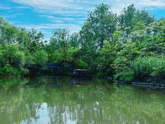 -溱湖国家湿地公园