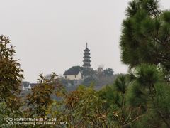 -苏州上方山国家森林公园