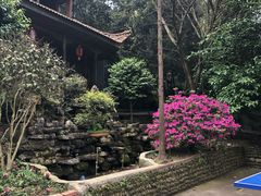 -铁山坪森林公园