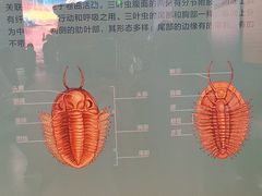 -湖南省地质博物馆