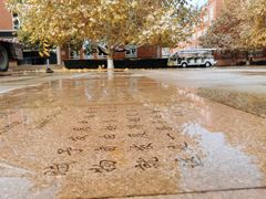 -北京市海淀外国语实验学校