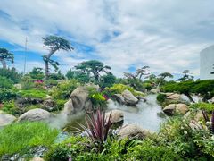 -罗红摄影艺术馆