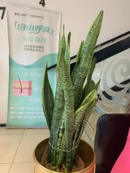 点击看大图 -LJOY丽锦造型·烫发染发