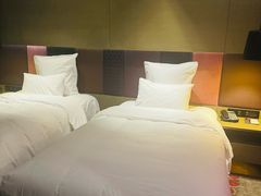 -南京禄口机场雅高铂尔曼大酒店