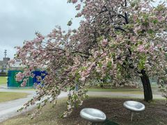 -金泽21世纪美术馆