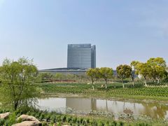 -春花秋色城市公园