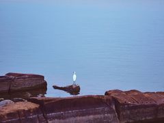 -西昌邛海湿地
