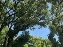 -水上明月·湖景餐厅