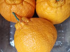 -果蔬好(江南赋店)