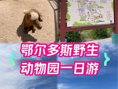 -鄂尔多斯野生动物园