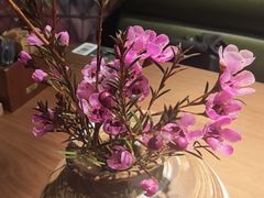 -云海肴·汽锅鸡·云南代表菜(美罗城店)