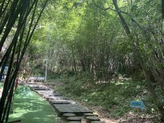 -广州白江湖森林公园