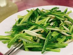青龙菜-新峰肉骨茶