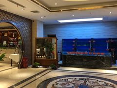 -金蝉食府(维吉奥广场店)