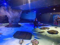 -凯莉-塔尔敦海洋生物水族馆