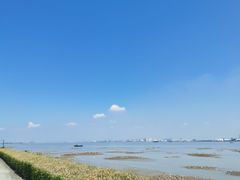 -海鸥岛
