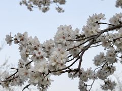 -新天地活力PARK