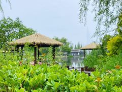 -成飞公园