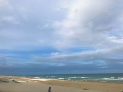 -黄金海岸