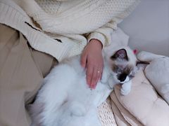 -seeu coffee(江滩店)