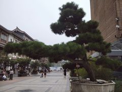 -西安大唐西市博物馆