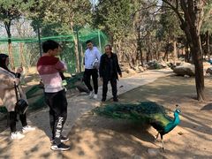 -西安秦岭野生动物园