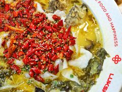 招牌酸菜鲈鱼-禄鼎记·多口味酸菜鱼(侨鑫店)