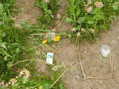 -中国天府农业博览园