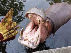 -西安秦岭野生动物园