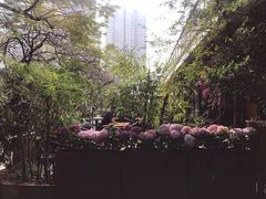 -缘生态云南菜·野生菌庭院餐厅(华侨城店)