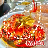 【📍焦作美食探店】南左七小龙虾