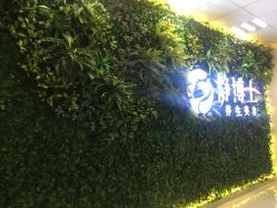 -静博士养生美容连锁