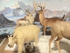 -陕西自然博物馆