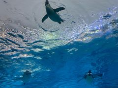 -珠海长隆海洋王国