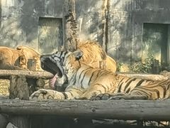 -泉州海丝野生动物世界