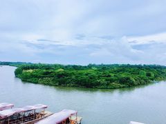 -东寨港红树林旅游区